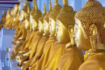A long line of golden statues of the Buddha at Buddhist temple in Thailand, a portrait of side view.