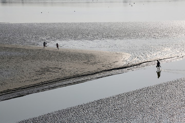 Mud beds on the river Malta during low tide the water in the Canning Town, India 