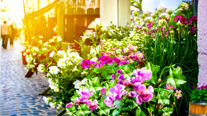 Street flower shop with colourful flowers . Colorful beautiful fresh flowers for sale on the marke