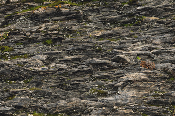 Textured basalt background thin stone fibers in the cut. natural volcanic formations