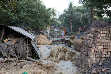 Rice is threshed/winnowed in Baidyapur, West Bengal, India