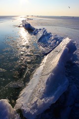 Eisstoss am Neusiedlersee, Eisschollen bilden die Grenze zwischen Eis und Wasser/eine karge, faszinierende Winterlandschaft/Kälte...die Kräfte der Natur, Eisschollen im strengen Winter