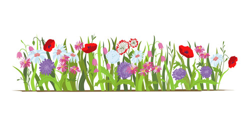 Flowerbed. Set of wild forest and garden flowers. Spring concept. Flat vector flower illustration isolate on a white background.