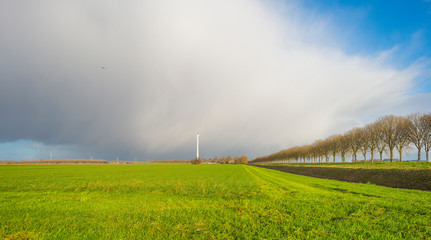 Fototapeta na wymiar Deteriorating weather over a meadow in sunlight in winter