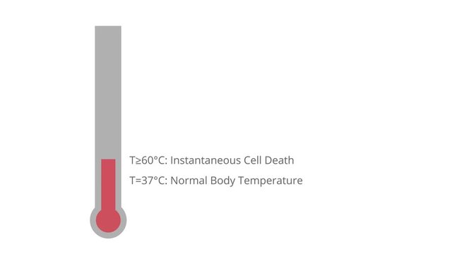 Electrosurgery Effects of Temperature on Cells, Protein, and Tissue Animation