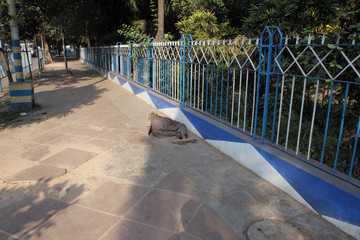 Homeless people sleeping on the footpath of Kolkata