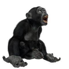 Obraz premium baby chimpanzee cartoon in a white background