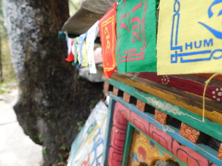 Om Mani Padme Hum - Buddhist Prayer Flags in Dharamshala