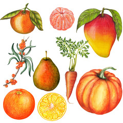 Hand drawn set of isolated fresh food