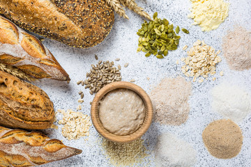 Golden rustic crusty loaves of bread on a light background. Layout width free copy (text) space. Top view. Assortment. Leaven. Fermentation product. Starter. Sourdough