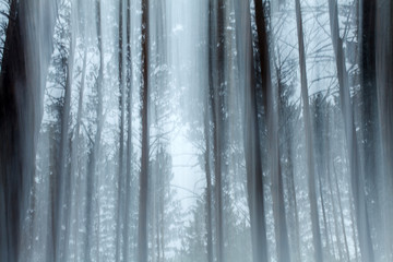 Fototapeta premium an abstraction of an snowy forest in winter in Siberia