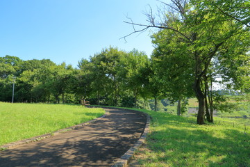 初夏の公園