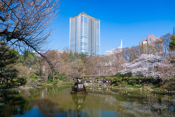 Fototapeta premium 春の日比谷公園