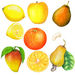 Hand drawn set of isolated fruits