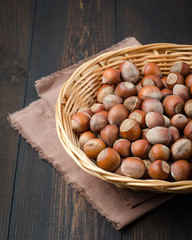 Hazelnut on a dark background.