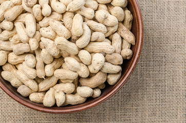 Peanuts in the peel on a light burlap.