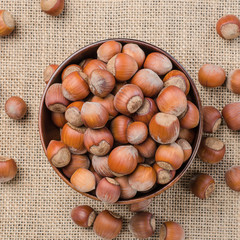 Hazelnut in peel on a light burlap.