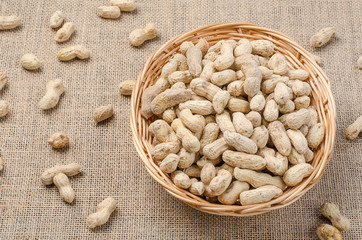 Peanuts in the peel on a light burlap.