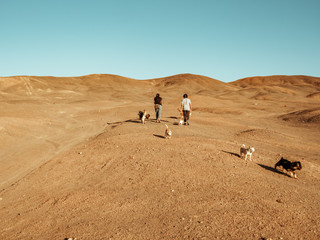 Fototapeta na wymiar Mascotas desierto