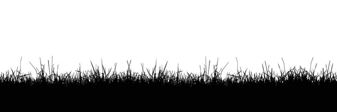 Seamless realistic illustration of a grass stalk or lawn, isolated on a white background, vector