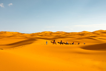 Fototapeta na wymiar Tourist camel caravan in Sahara desert Merzouga, Morocco