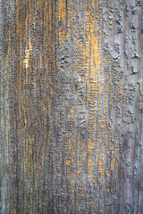 Obraz premium an old wooden house wall at sunset