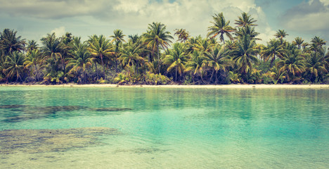 Idyllic paradise Island. Palm and lagoon landscape. 