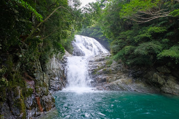 すさみ町 雫ノ滝