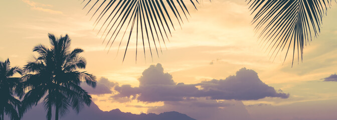 Tropical paradise palm tree banner background.