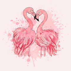 Two flamingos in love, vector, valentine's day