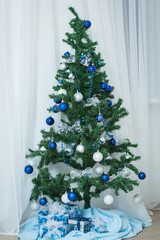 Christmas tree in a house