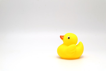 Yellow rubber duck on white background