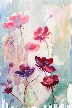  field flowers. spring Summer. background. watercolor. stems.