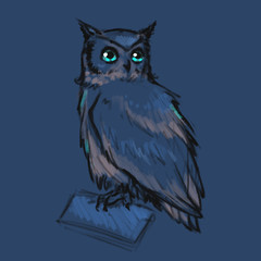 Sketch style illustration with owl. Cute little owl character. Bird creature.