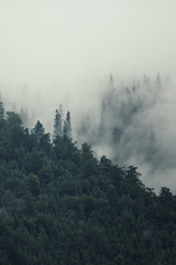 Naklejka premium Misty mountain landscape