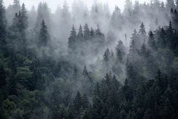 Washable wall murals Dark gray Misty mountain landscape