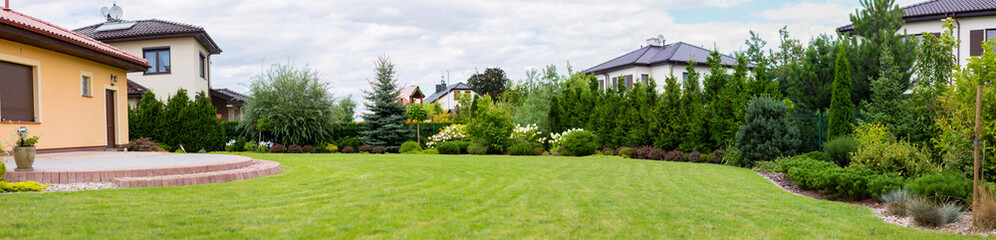 Alley in the park, trees, bushes, lawn