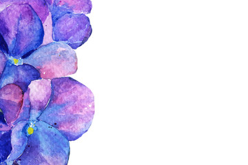 hydrangea in watercolor flowers. spring summer. background
