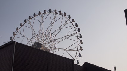 Wheel