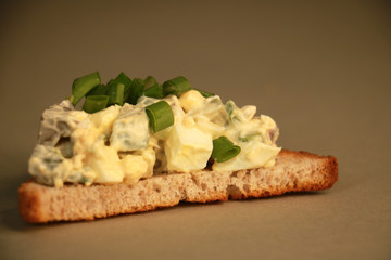 vegetarian fresh toast isolated