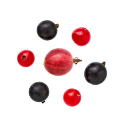 Currant, gooseberry. Heap of fresh gooseberries, black and red currant fruit.