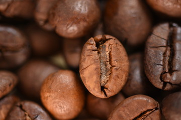 Naklejka premium coffee beans 