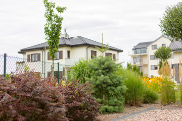 Alley in the park, trees, bushes, lawn