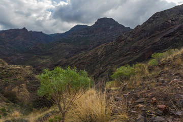 Canary islands gran canaria winter tour