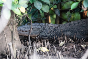 An alligator is ashore and resting.