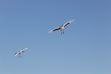 釧路 鶴見台 夕景