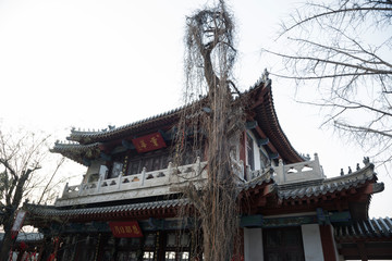 Obraz premium the building and the tree in the Xingguochan Temple on The Thousand Buddha Mountain autumn evening, Jinan, China