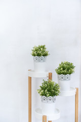 White flower pot with bright green fake trees