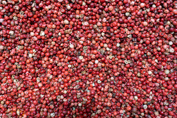 dry red papper black spice on market Istanbul turkey