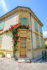Façade de maison en Provence, France. Le rosier rouge en fleurs.